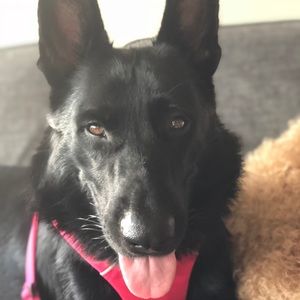 Meet your Posher, Nichole